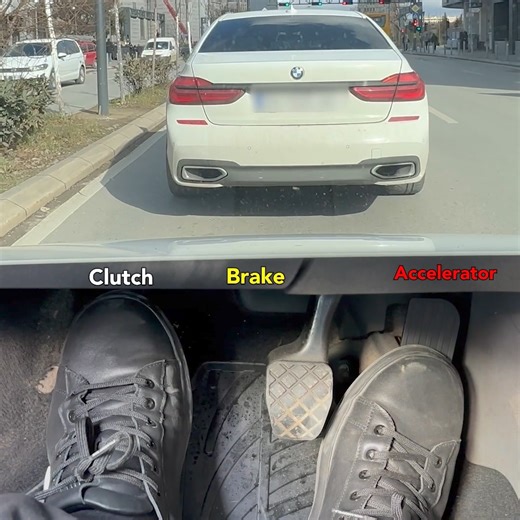 563K views · 3.6K reactions | Learn how to be a good driver! | 5-Minute Crafts | Facebook