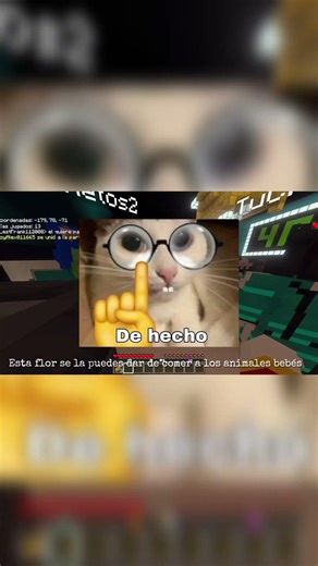 NUEVA BETA Y PREVIEW DE MINECRAFT BEDROCK 26.10.20. #minecraft #minecraftbedrock #update #beta