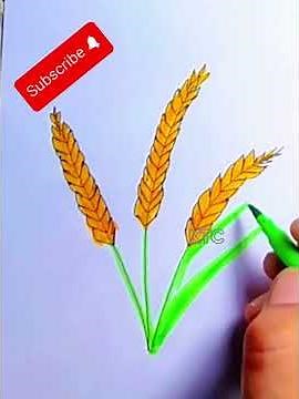How to draw wheat plant step by step .How to draw wheat crop step by step.#wheat#drawing#colours