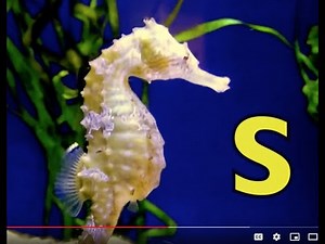 ALPHABET ANIMALS / PHONICS / ALPHABET SONG (Part 58) Toddlers, Preschool, K-3 / Educational