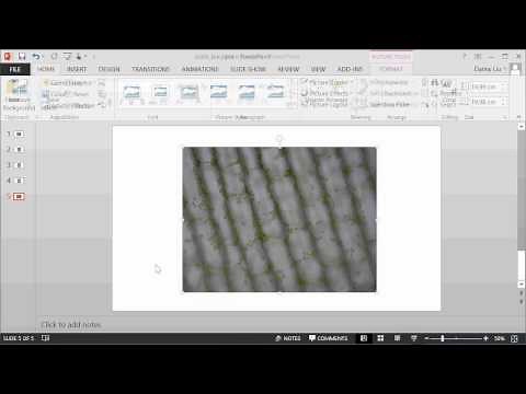 Adding a scale bar onto a microscope image using PowerPoint - with known image dimensions