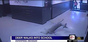 WATCH: Check out this surveillance video of a deer sliding down one of the halls as kids were headed to class at one Michigan school. The principal says it certainly was the talk of the school for the rest of the day! | WDBJ7