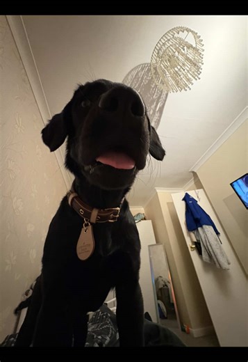 Getting a Tattoo Cover-Up: My Experience