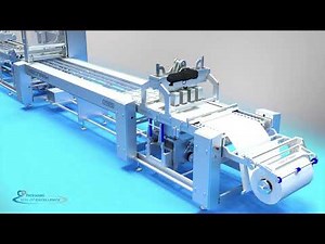 Vision Pak High Speed Vacuum Packaging Equipment