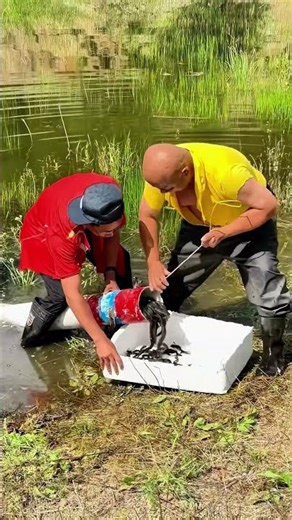 Live Fish Harvesting Hack: Styrofoam Box & Plastic Pipe at the Riverbank!