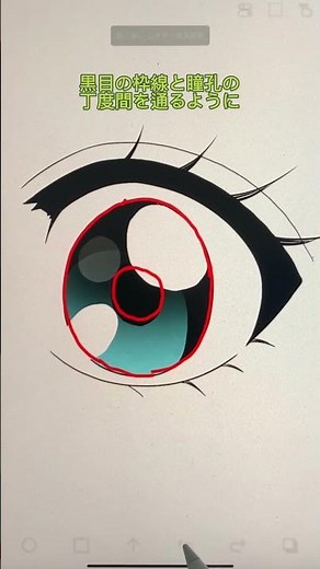 For beginners (insurance)