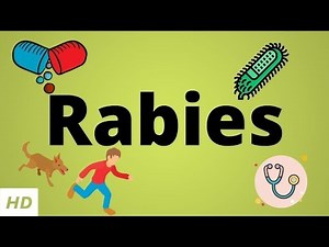 Rabies, Causes, SIgn and Symptoms, Diagnosis and Treatment.