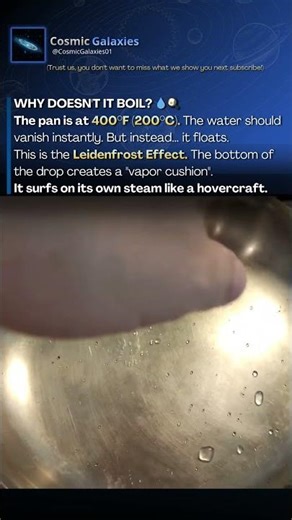 This Water is LEVITATING (It Touches Nothing) 💧🤯- Leidenfrost Effect #shorts