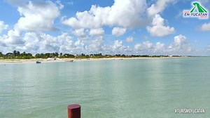 35K views · 860 reactions | Si buscas un espacio un poco más relajado en Progreso, visita estos atractivos del lado del Malecón Internacional. https://en-yucatan.com.mx/progreso/ | Turismo Yucatán | Facebook