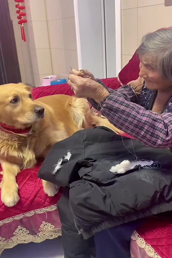 194K views · 5.1K reactions | The Mo Dou Doudou respects the elderly, the old man who is old, the old man who is not sensible, the cleaner | Norn Ava | Facebook