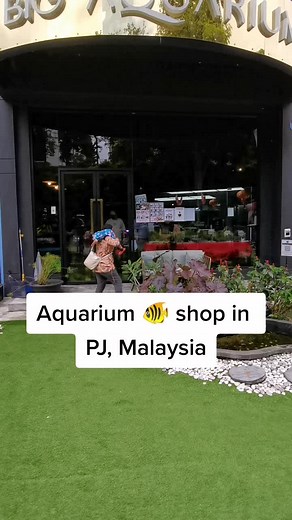 Explore the Big Aquarium in Petaling Jaya, Malaysia