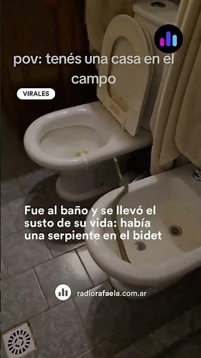 Entró al baño y se encontró con una serpiente en el bidet