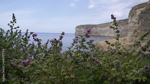 Malta. View of Xlendi Bay on the island of Gozo.