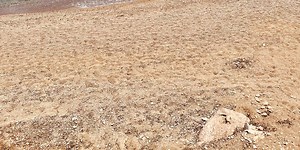 Relationship Reciprocity - Part II