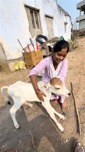 new born baby 😊 #madcreations #farming