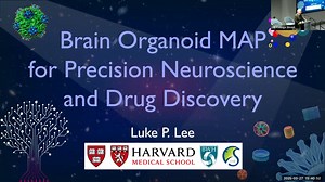 BRAIN ORGANOID MAP FOR PRECISION NEUROSCIENCE AND DRUG DISCOVERY
