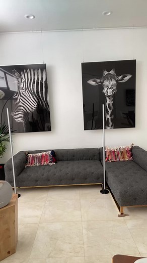 Viernes de Salsa con Charlie Zaa: ¡A Cantar!