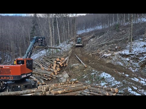 Logging, Skidder, loader and feller