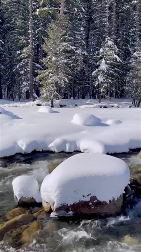 Discover Kurdish Music Trends