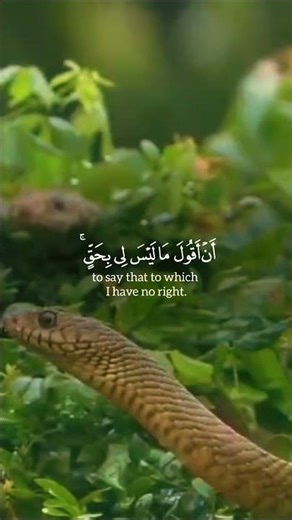 #dua #qurantranslationenglish