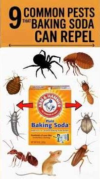 9 Ways to Repel Pests with Baking Soda