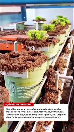 Automatic Plant Potting Machine – Fast Soil Filling & Planting System