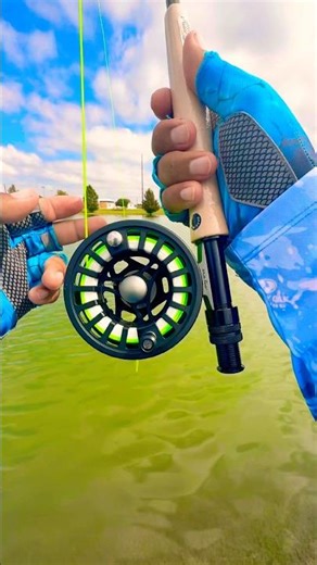 Tips Using A fly Rod for fly fishing#fishing#tips#fish#shortvideo#viral#youtubeshorts#youtube#bass