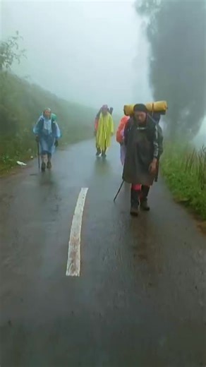 Oedy Oedy (@oedy.oedy)’s videos with suara asli - kerbau - Alll