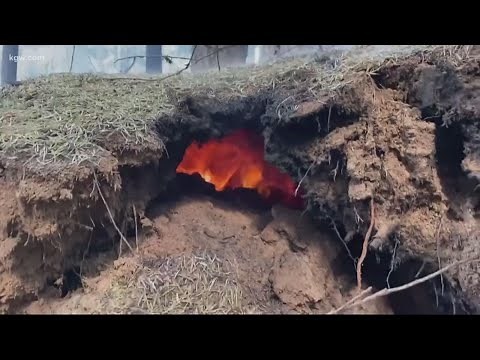The danger of fires burning underground in Oregon