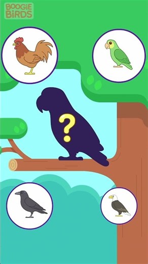 Bird Sounds For Kids | Preschool Learning Video | Boogie Birds