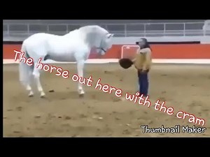 Tony baker CRAM. Try not to laugh while watching like and subscribe for more video leave COMMENT