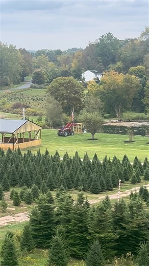 4.3K views · 268 reactions | First day of Fall and 5 days before our daughters wedding  蘆‍♂️on our Christmas Tree Farm 珞 | The Ice Farm | Facebook