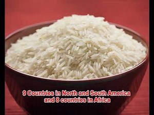 Understanding cereals and Millets
