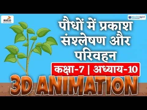 7th Science Transportation in Plants 3d Animation | 7th Science Chapter 10 Animation | Ekaksha