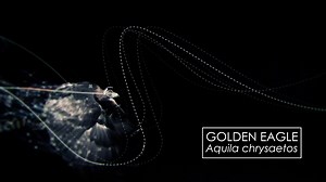 59K views · 609 reactions | Earth Unplugged wanted to find out how a...