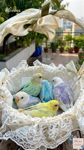 Birthday Gift 😱 l #shorts #shortsvideo #trendingshorts #ytshort #viralvideo