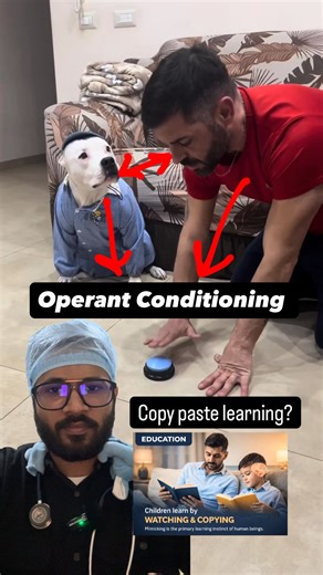 Dr. Jainith Lowvanshi | MBBS•MD•DNB (India 🇮🇳) on Instagram: "This is a classic example of operant conditioning, specifically positive reinforcement, layered with observational (social) learning. 1. Operant Conditioning (Primary mechanism) • The button press is a behavior • Food is the reward • When pressing the button → food appears ➡️ The behavior increases in frequency This is positive reinforcement: Behavior + reward = behavior strengthens The dog learns: “If I do THIS action, I get THAT o