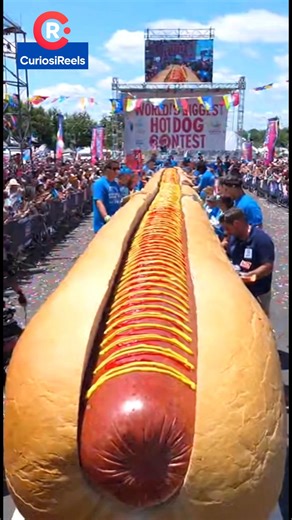 ¡Esto no es comida, es ingeniería gastronómica!  Desde el público, grabamos el concurso del Hot Dog más grande del mundo, y fue una locura total. Multitudes, cámaras, confeti y el hot dog más largo jamás visto. ¿Tú te atreverías a probarlo?  #HotDog #WorldRecord #ViralFood #StreetEvent #FunnyMoments #fypchallenge #parati #comidaviral #comida #usa | CuriosiReels | Facebook