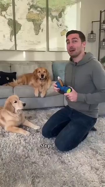 How to Fix Resource Guarding in Dogs