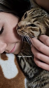 Two little hearts full of love and one tiny Savannah F5 purring like a little engine. Moments like these are everything.🥰🥰 #cat #TiggerTheTherapist #purring #pet #kitten #kittens #savannahcat #catinfluencer #catlovers #love #britishlonghair | Tigger The Therapist