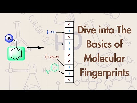 From Molecules to Patterns: Understanding Molecular Fingerprints
