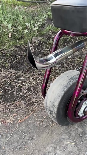 Discover the Love for This Mini Bike!