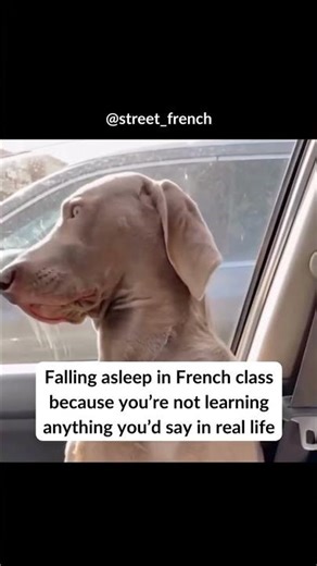Falling asleep in French class meme