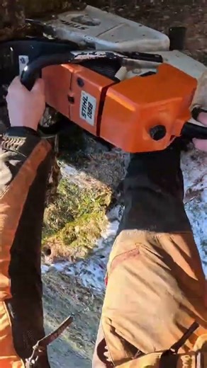 teste de la Stihl 088 dans une bille de frêne