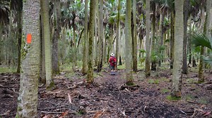 Florida Trail Section Hiking