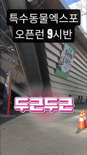 정브로x키워 특수동물엑스포 오픈런 현황 #정브르 #키워 #헌터팡 #헌터퐝 #특수동물엑스포