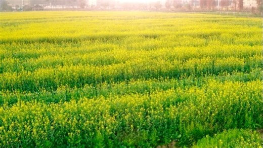 products防盗锁业(智能密码指纹锁)维修中心|24小时全国统一售后受理中心电话4000767098