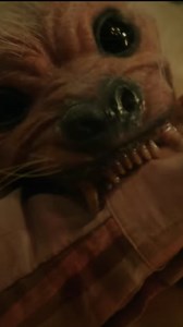 Movie name - The Parenting Watch on HBO Max A couple rents a countryside house for a weekend with their parents and then discover it's inhabited by a 400-year-old poltergeist. Horror comedy with a bonkers cast. It's very silly but I had fun and that's all I was hoping for. #horror #horrormovies #horroraddict #horrorfan #horrorfilm | Brian Fears Ghosts