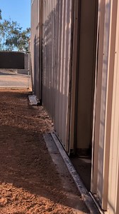 212K views · 4.8K reactions | A new giraffe was recently born at the Phoenix Zoo. The zoo's 12-year-old Masai giraffe, Sunshine, gave birth to her fifth calf on Nov. 14. 漣 Enjoy this video of the new baby having the zoomies.  Phoenix Zoo | KJZZ Phoenix | Facebook