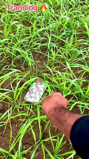 Exciting Trending Video in Sound Features